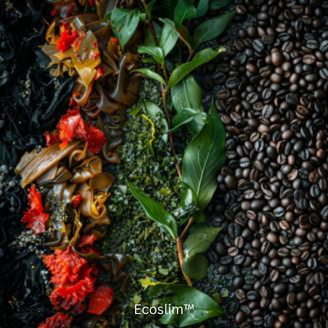 Rejuvenating Eye Cream